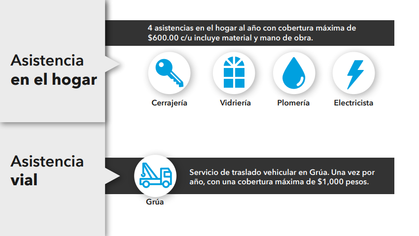 Asistencia en el hogar